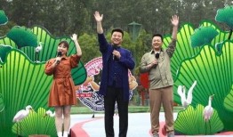 斌哥最新爆料消息视频,最新爆料视频深度解析